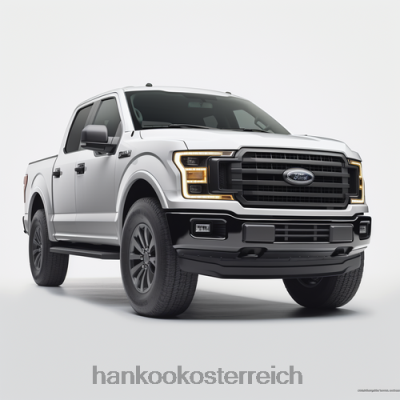 Reifen Hankook Dynapro HT rh12 255/65r17 b/4ply wl 26HR2349